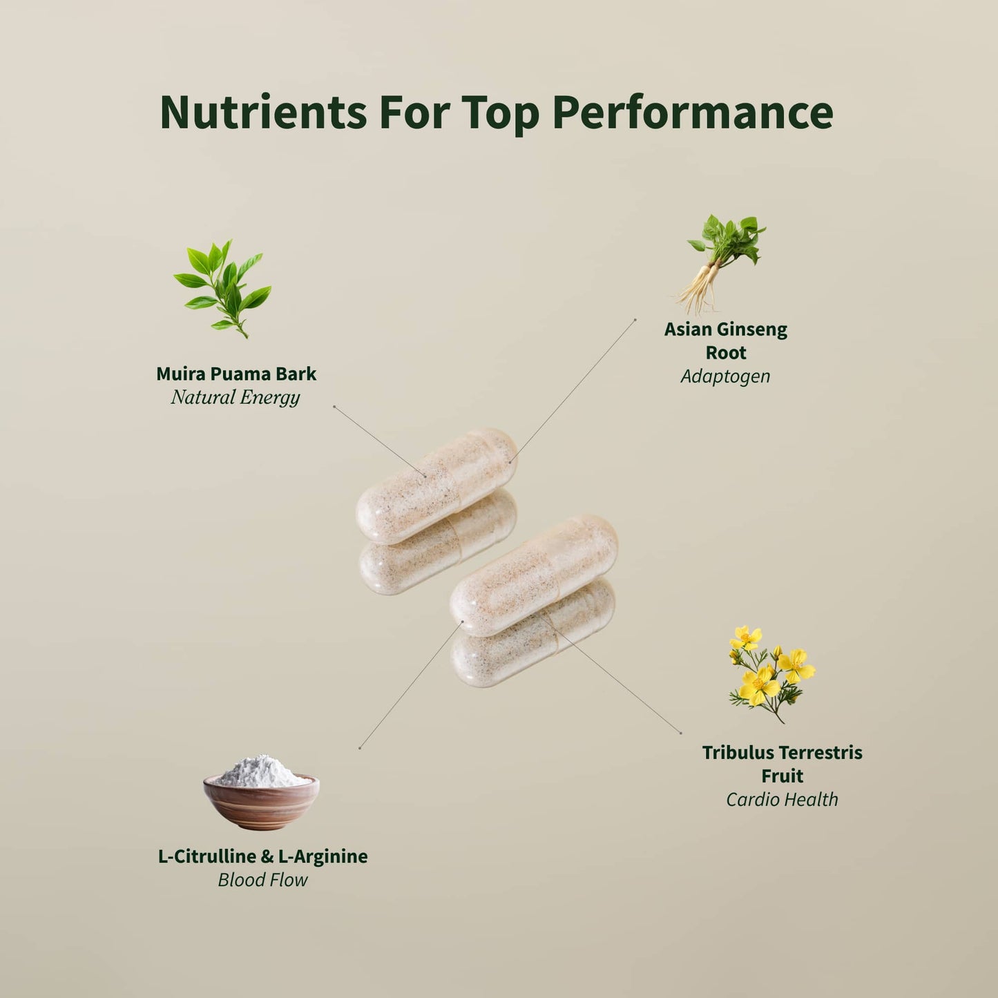 Nitric Oxide + Testo Booster Bundle (2+1 BOGO)