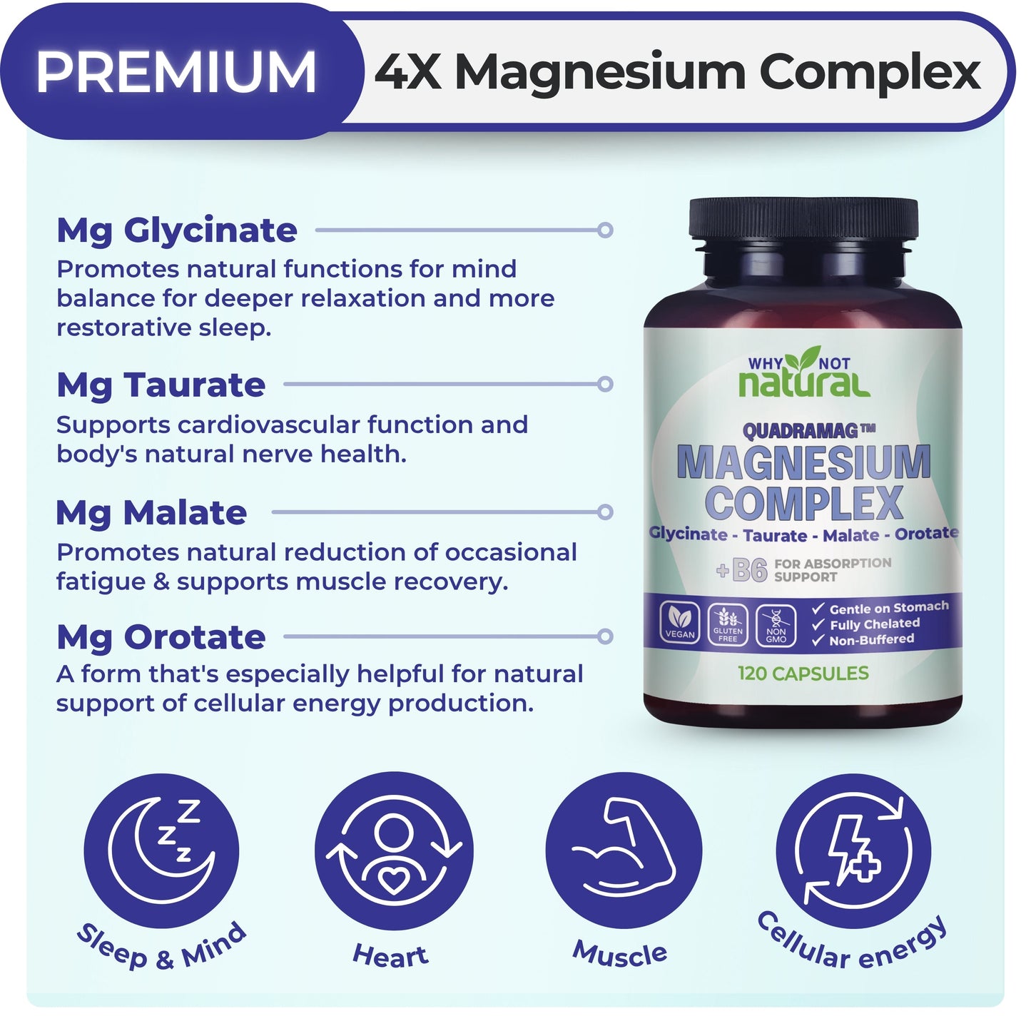 4-in-1 Magnesium Complex