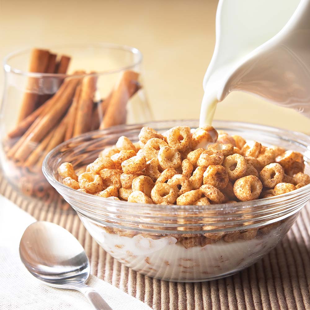 Cinnamon Protein Cereal - High Protein & Fiber, Low Carb