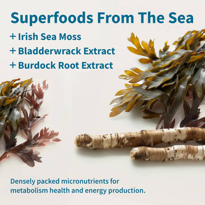 Irish Sea Moss with Iodine Energy Support